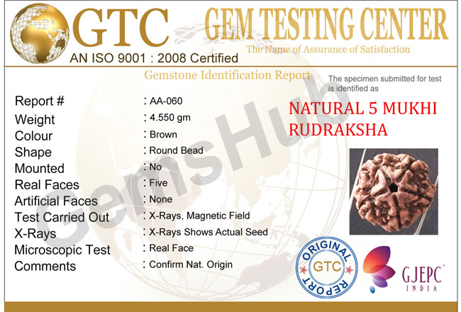 5 Mukhi Natural Certified Rudraksha Size- 22 mm Premium